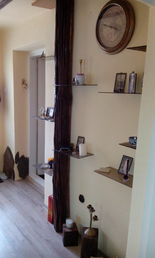 Casa Cosmin Guest House Dobra Екстериор снимка