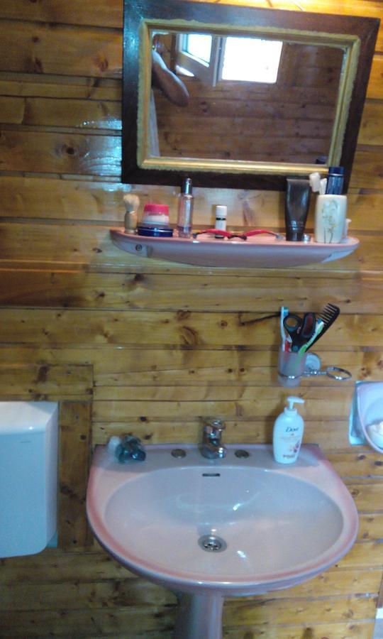 Casa Cosmin Guest House Dobra Екстериор снимка