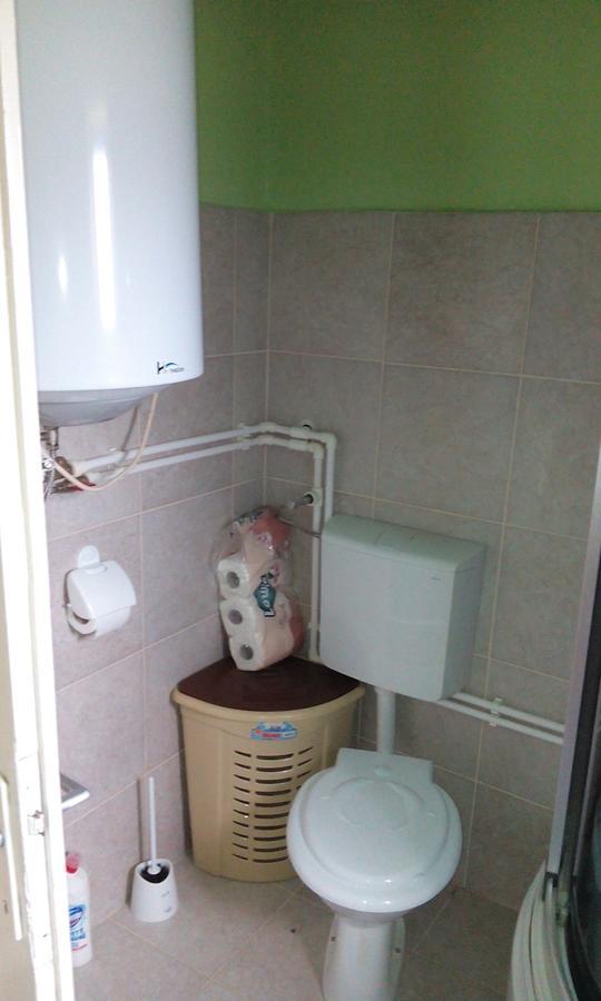 Casa Cosmin Guest House Dobra Екстериор снимка