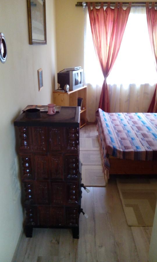 Casa Cosmin Guest House Dobra Екстериор снимка