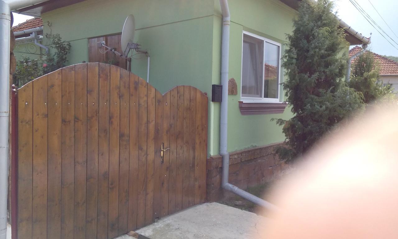 Casa Cosmin Guest House Dobra Екстериор снимка