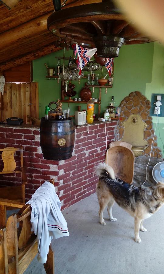 Casa Cosmin Guest House Dobra Екстериор снимка
