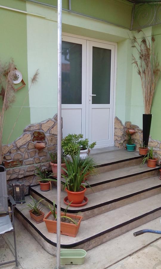 Casa Cosmin Guest House Dobra Екстериор снимка