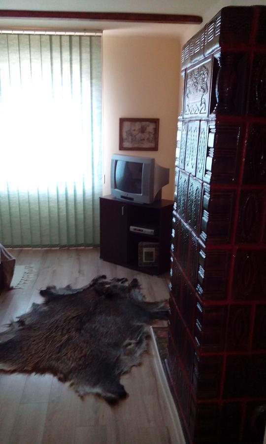 Casa Cosmin Guest House Dobra Екстериор снимка