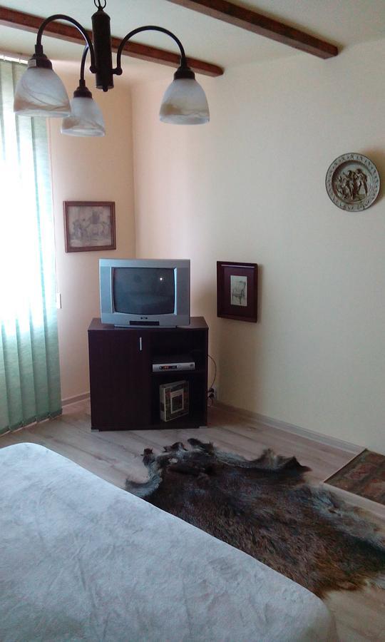 Casa Cosmin Guest House Dobra Екстериор снимка