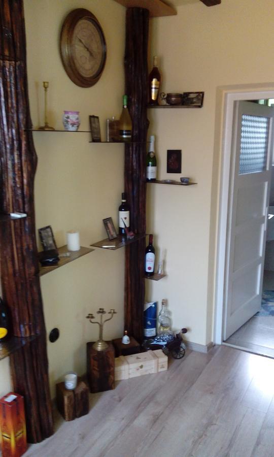 Casa Cosmin Guest House Dobra Екстериор снимка