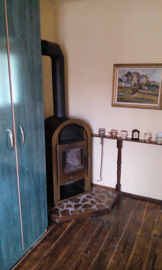 Casa Cosmin Guest House Dobra Екстериор снимка