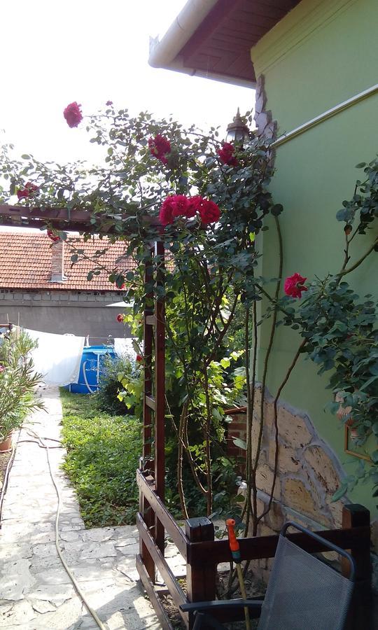 Casa Cosmin Guest House Dobra Екстериор снимка