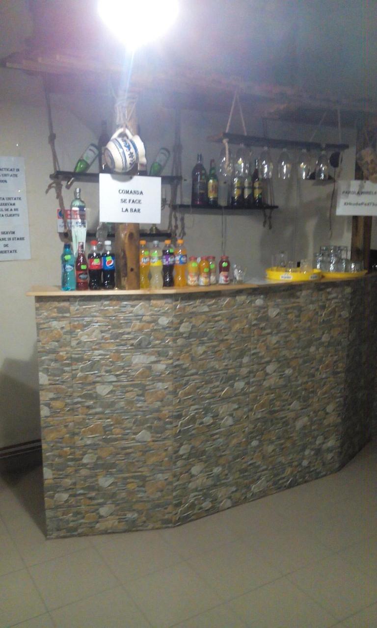 Casa Cosmin Guest House Dobra Екстериор снимка